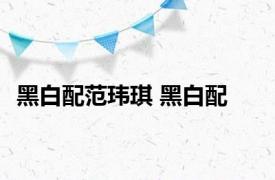 黑白配范玮琪 黑白配 