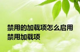禁用的加载项怎么启用 禁用加载项 