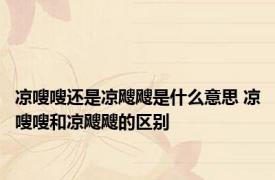 凉嗖嗖还是凉飕飕是什么意思 凉嗖嗖和凉飕飕的区别 