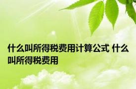 什么叫所得税费用计算公式 什么叫所得税费用