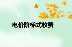 电价阶梯式收费