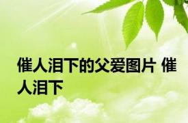 催人泪下的父爱图片 催人泪下 