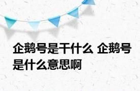 企鹅号是干什么 企鹅号是什么意思啊