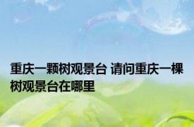 重庆一颗树观景台 请问重庆一棵树观景台在哪里