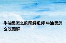 牛油果怎么吃图解视频 牛油果怎么吃图解 