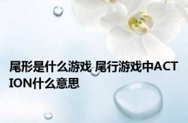 尾形是什么游戏 尾行游戏中ACTION什么意思