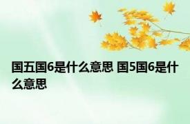 国五国6是什么意思 国5国6是什么意思 