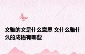文雅的文是什么意思 文什么雅什么的成语有哪些