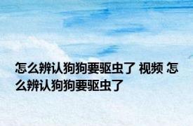 怎么辨认狗狗要驱虫了 视频 怎么辨认狗狗要驱虫了