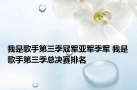 我是歌手第三季冠军亚军季军 我是歌手第三季总决赛排名 