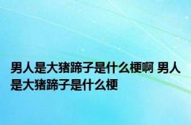 男人是大猪蹄子是什么梗啊 男人是大猪蹄子是什么梗