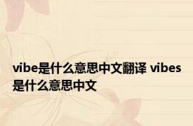 vibe是什么意思中文翻译 vibes是什么意思中文 
