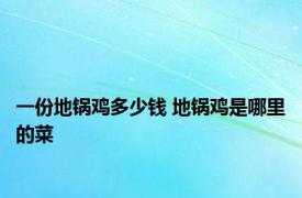 一份地锅鸡多少钱 地锅鸡是哪里的菜 