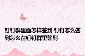 钉钉群里面怎样签到 钉钉怎么签到怎么在钉钉群里签到