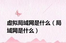 虚拟局域网是什么（局域网是什么）