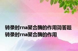 转录时rna聚合酶的作用简答题 转录时rna聚合酶的作用