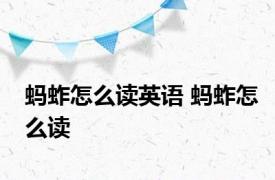 蚂蚱怎么读英语 蚂蚱怎么读 