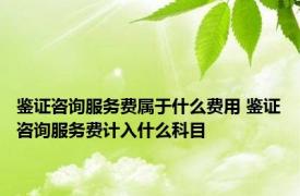 鉴证咨询服务费属于什么费用 鉴证咨询服务费计入什么科目