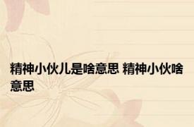精神小伙儿是啥意思 精神小伙啥意思 