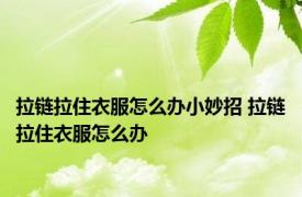 拉链拉住衣服怎么办小妙招 拉链拉住衣服怎么办