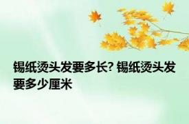 锡纸烫头发要多长? 锡纸烫头发要多少厘米 