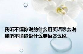 我听不懂你说的什么用英语怎么说 我听不懂你说什么英语怎么说