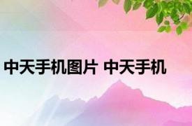 中天手机图片 中天手机 