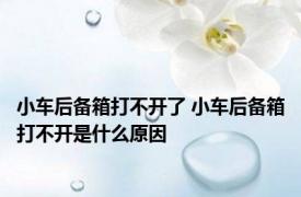小车后备箱打不开了 小车后备箱打不开是什么原因