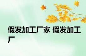 假发加工厂家 假发加工厂 