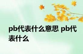 pb代表什么意思 pb代表什么