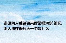 谁见幽人独往独来缥缈孤鸿影 谁见幽人独往来后面一句是什么