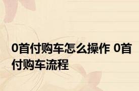 0首付购车怎么操作 0首付购车流程 