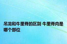吊龙和牛里脊的区别 牛里脊肉是哪个部位