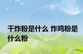 干炸粉是什么 炸鸡粉是什么粉