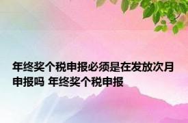 年终奖个税申报必须是在发放次月申报吗 年终奖个税申报 