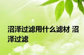 沼泽过滤用什么滤材 沼泽过滤 