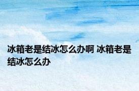 冰箱老是结冰怎么办啊 冰箱老是结冰怎么办 