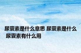 尿囊素是什么意思 尿囊素是什么 尿囊素有什么用