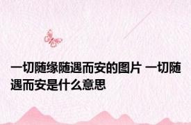 一切随缘随遇而安的图片 一切随遇而安是什么意思