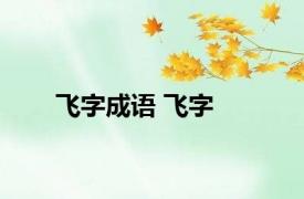 飞字成语 飞字 