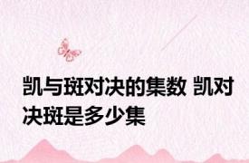 凯与斑对决的集数 凯对决斑是多少集