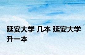 延安大学 几本 延安大学升一本 