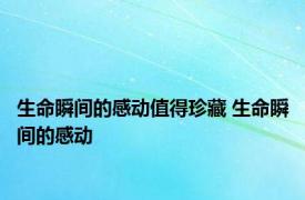 生命瞬间的感动值得珍藏 生命瞬间的感动 