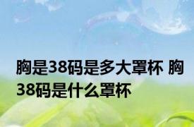 胸是38码是多大罩杯 胸38码是什么罩杯