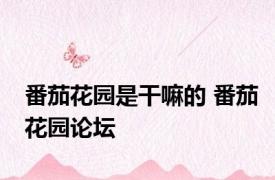 番茄花园是干嘛的 番茄花园论坛 