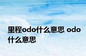 里程odo什么意思 odo什么意思