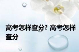 高考怎样查分? 高考怎样查分