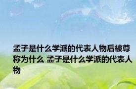 孟子是什么学派的代表人物后被尊称为什么 孟子是什么学派的代表人物