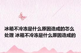 冰箱不冷冻是什么原因造成的怎么处理 冰箱不冷冻是什么原因造成的