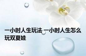 一小时人生玩法 一小时人生怎么玩双夏娃